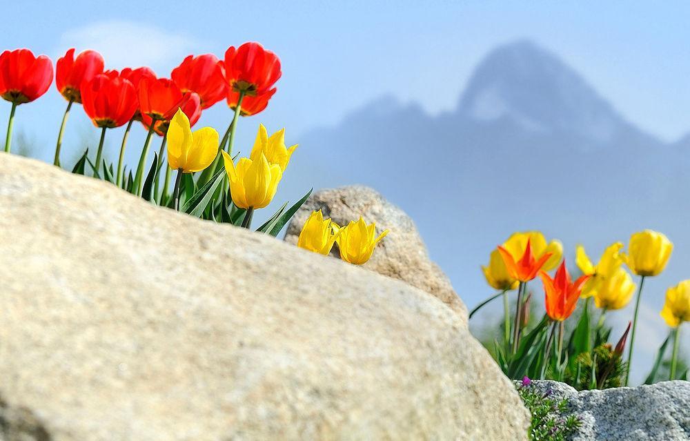 Panoramic Mountain Residence Vysoké Tatry エクステリア 写真