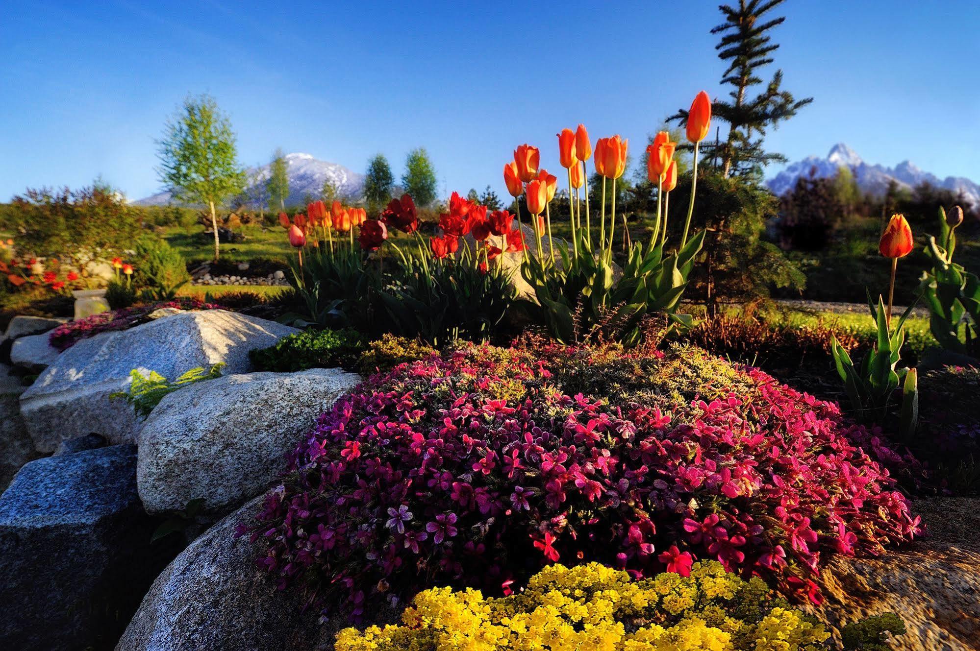 Panoramic Mountain Residence Vysoké Tatry エクステリア 写真